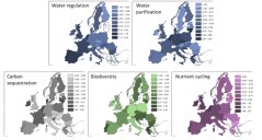Figuur 1: Maatschappelijke vraag en afstand tot beleidsdoel per functie per regio Figuur 1: Maatschappelijke vraag en afstand tot beleidsdoel per functie per regio