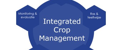 Figuur 1. De vijf pijlers van Integrated Crop Management. Aangepast van Sikora et al 2022, Riemens et al., 2022.