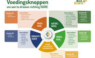  Figuur 1: voedingsknop: ‘spelen’ met voedermiddelen en gehalten van voedermiddelen 