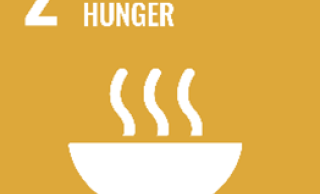 Zero Hunger
