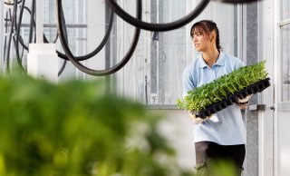 Autonomous Greenhouse Challenge