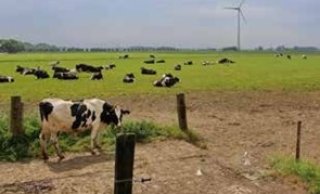 Figuur 6 Het oorspronkelijke vuile koepad van Joris Buijs.
