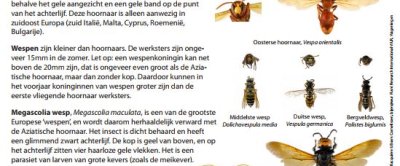 Klik om de identificatiekaart te openen