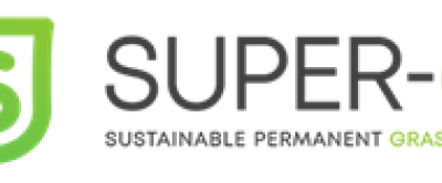 Super G