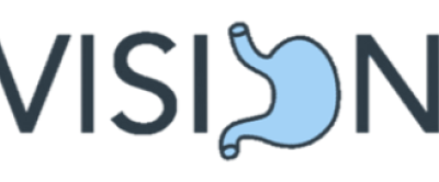 VISION studie logo.png