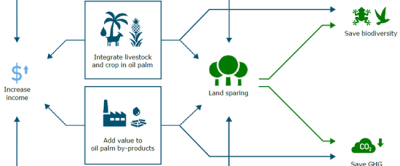 Image showing the abovementioned project goals.