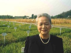 Emeritus professor Gelia T. Castillo bij proefvelden, ca 1998. Bron: IRRI Emeritus professor Gelia T. Castillo bij proefvelden, ca 1998. Bron: IRRI