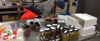 Gevangen diertjes worden zorgvuldig bewaard en gelabeld voor verder onderzoek in het thuislaboratorium (© Marin van Regteren)