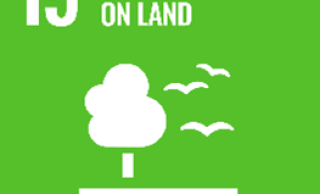 Life On Land