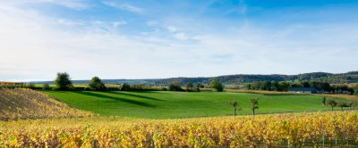 limburg_waterberging_landschap_shutterstock_1565715652.jpg