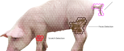 20180123 pig_resilience.png