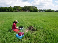 Onderzoekers pompen in Haaksbergen water op om te onderzoeken hoe chemische residuen die nog aanwezig zijn in gezuiverd afvalwater zich gedragen tijdens irrigatie en op het veld. Foto: Jill Soedarso Onderzoekers pompen in Haaksbergen water op om te onderzoeken hoe chemische residuen die nog aanwezig zijn in gezuiverd afvalwater zich gedragen tijdens irrigatie en op het veld. Foto: Jill Soedarso