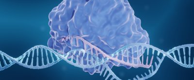 Het CRISPR-systeem