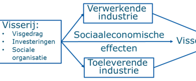 Figuur 2: Effecten van visserijbeleid op de visserij en (indirect) op de verwerkende en toeleverende sectoren en de visserijregio’s