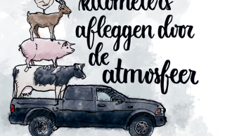 Stikstofweb_illustratie.PNG