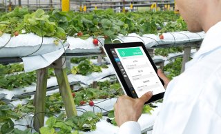 AI smart farming