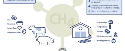 Bekijk hier de visual met uitleg over het project.  