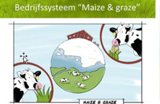 Maize & graze