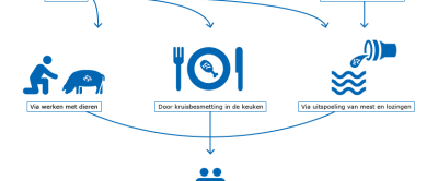 Klik op de infographic over antibioticaresistentie om deze te vergroten