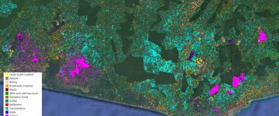 Voorbeeld van cacao-, palmolie- en rubberplantages in Ghana. Er zijn slechts een paar stukken bos over.