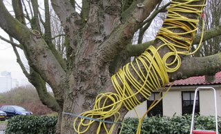Warmteproef in Dordecht
