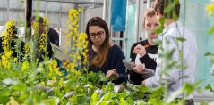 plant breeding .jpg plant breeding .jpg