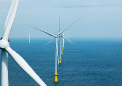 Ook de biodiversiteit rond windparken wordt gemonitord, bijvoorbeeld met een robotarm die de begroeiing van windturbinepalen schraapt. Beeld: Sky Pictures. Ook de biodiversiteit rond windparken wordt gemonitord, bijvoorbeeld met een robotarm die de begroeiing van windturbinepalen schraapt. Beeld: Sky Pictures.