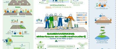 Infographic over het project en de inzichten (klik om uit te vergroten)