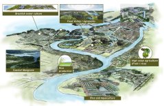 Illustratie van het Mekong Delta Plan Illustratie van het Mekong Delta Plan