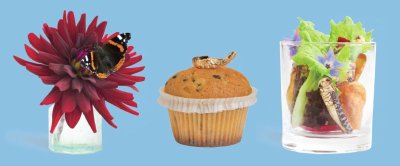 Het Insectenkookboek geeft culinaire richting aan duurzaam eten van de toekomst