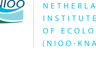 NIOO logo gestapeld Engels.png