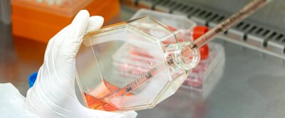 Organoids