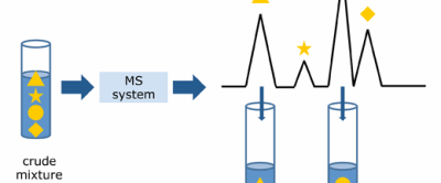 preplcmsschema.gif
