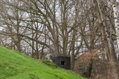 De Grebbelinie in de provincie Utrecht is onderdeel van het NNN. Deze historische verdedigingslinie vormt een belangrijke ecologische verbinding. De Grebbelinie in de provincie Utrecht is onderdeel van het NNN. Deze historische verdedigingslinie vormt een belangrijke ecologische verbinding.