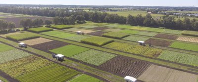 Luchtfoto Vredepeel