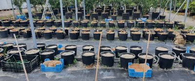 Test Proeftuin Randwijk